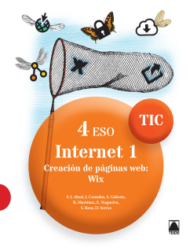 INTERNET 1 TIC 4 ESO (2016)
